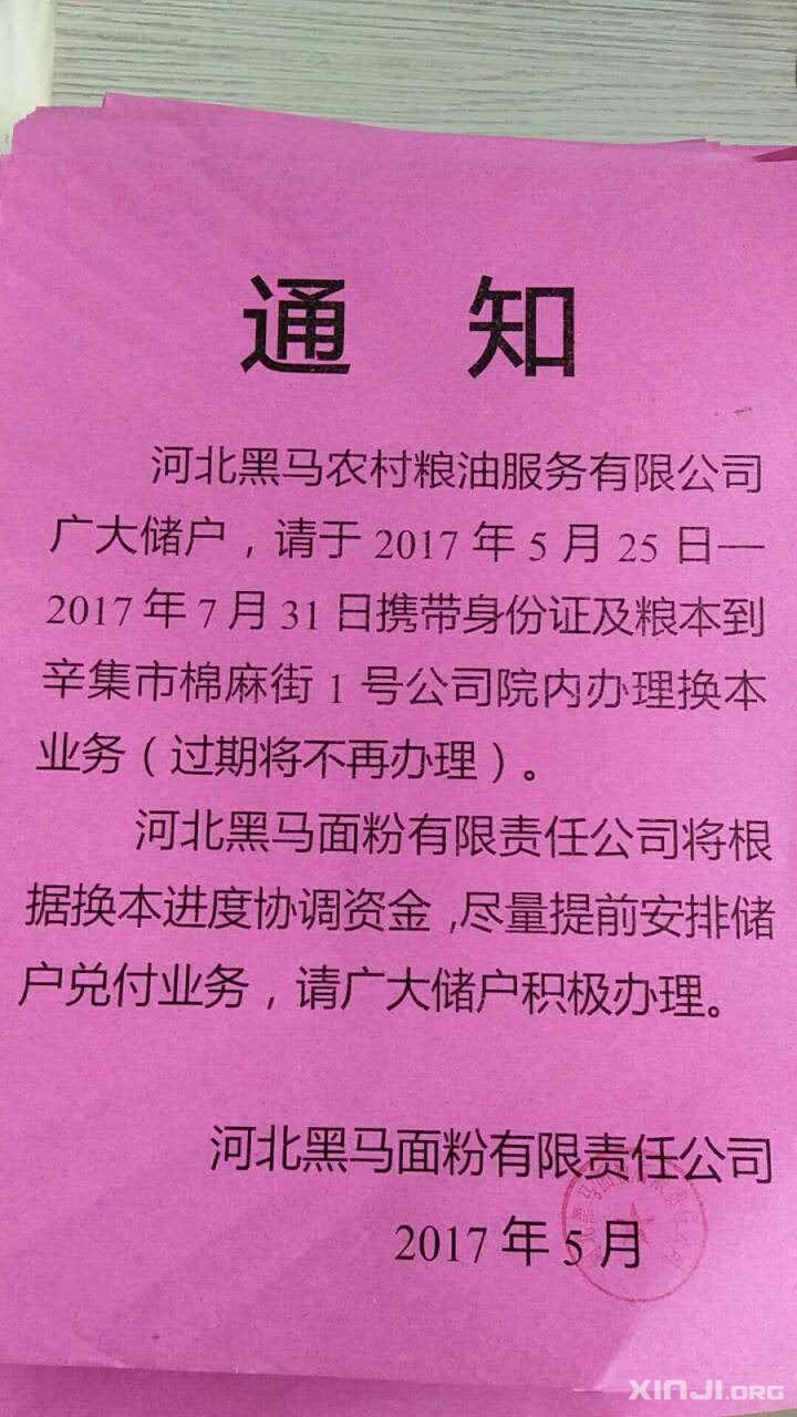 辛集黑马面粉引领行业变革，铸就品质传奇新动态揭秘