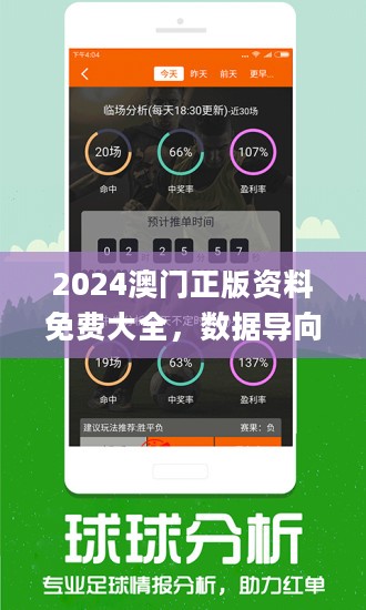 2024新澳门正版免费资料车,全面解读说明_BT92.285