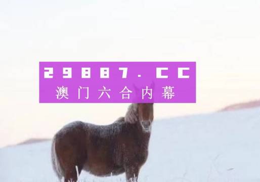 澳门今晚必开一肖一码新闻,适用设计策略_视频版94.349