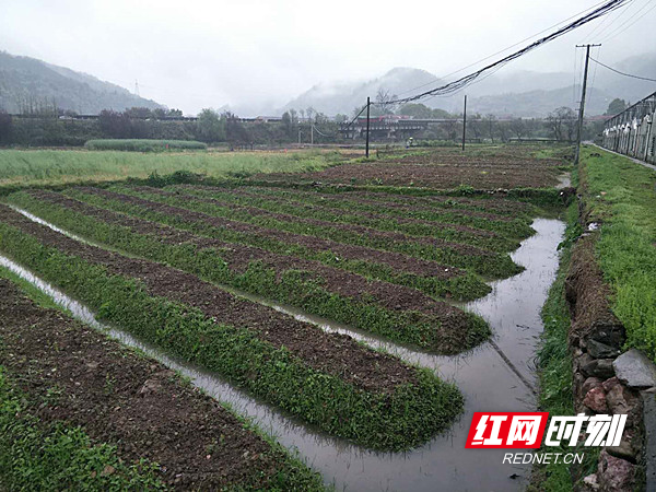 楠木坪乡最新项目，乡村发展的强大引擎驱动力