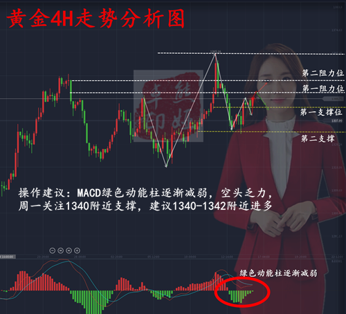 澳门今晚必开一肖一特,数据解析支持策略_GT71.131