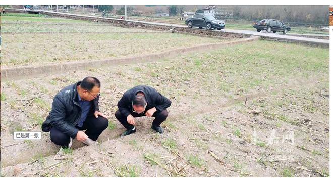 永嘉县市场监督管理局发布最新消息