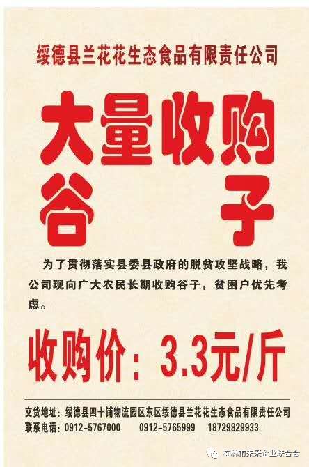 米脂县文化局最新招聘信息全面解析