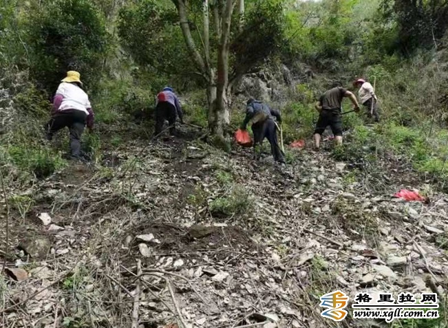 加嘎村最新动态，进步与变迁的见证