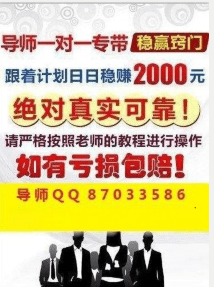 2024澳门天天彩期期精准,准确资料解释落实_3DM2.627