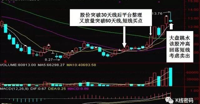 香港特马最正确免费资料,快速响应执行方案_Prime83.456