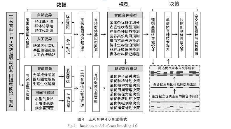 新奥门特免费资料大全凯旋门,数据驱动计划_潮流版85.627