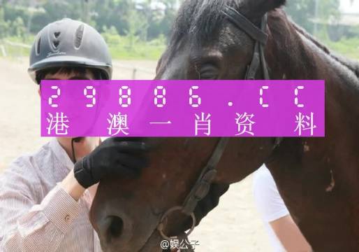 澳门一肖一码一中一肖l,诠释解析落实_豪华版6.23