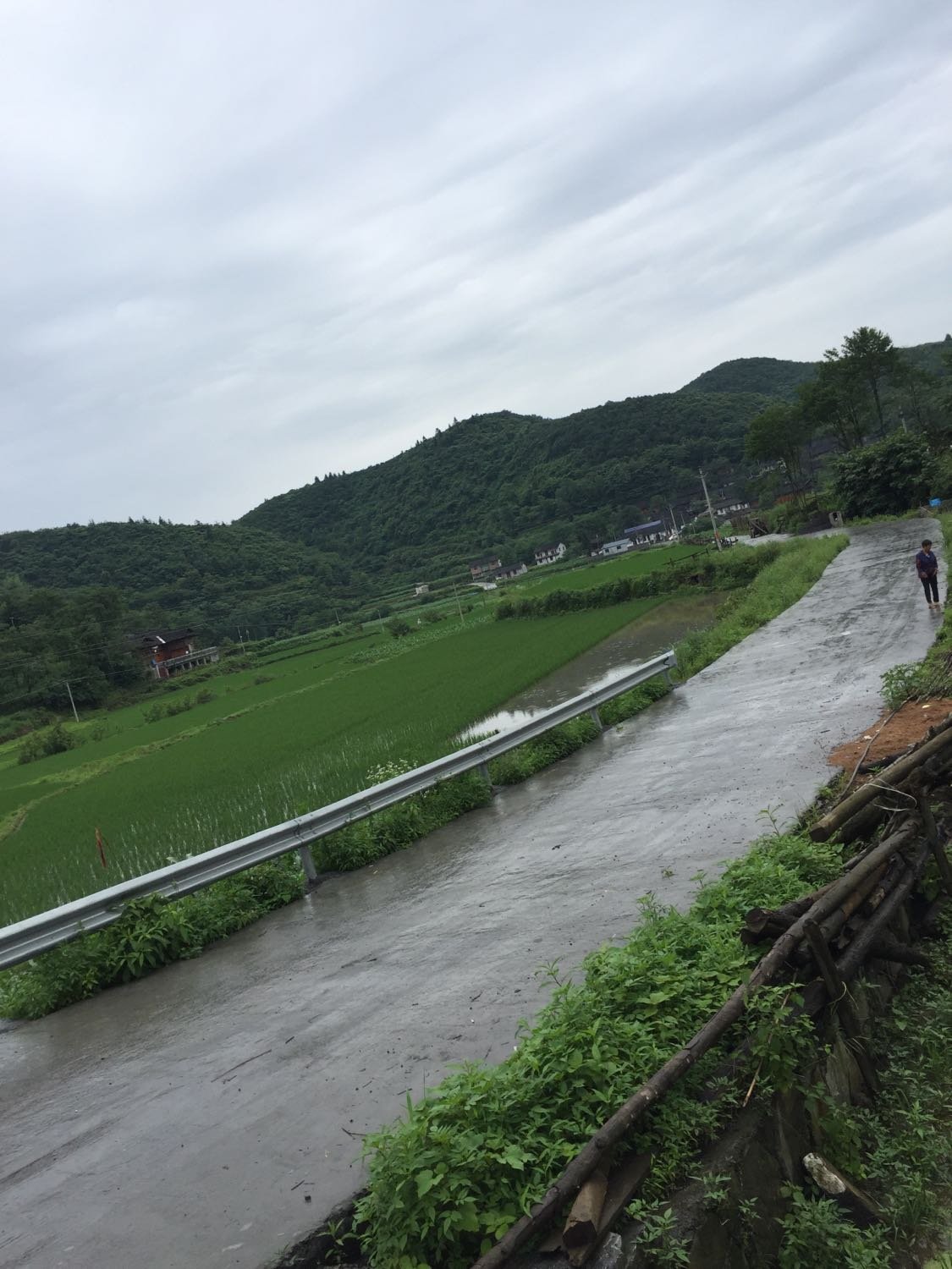 上岘村民委员会天气预报更新通知