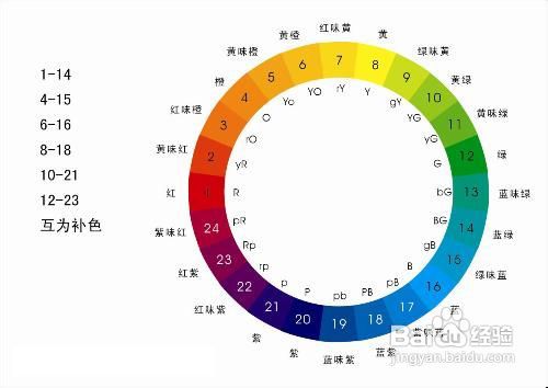 2024年正版免费天天开彩,快速响应策略方案_网红版53.420