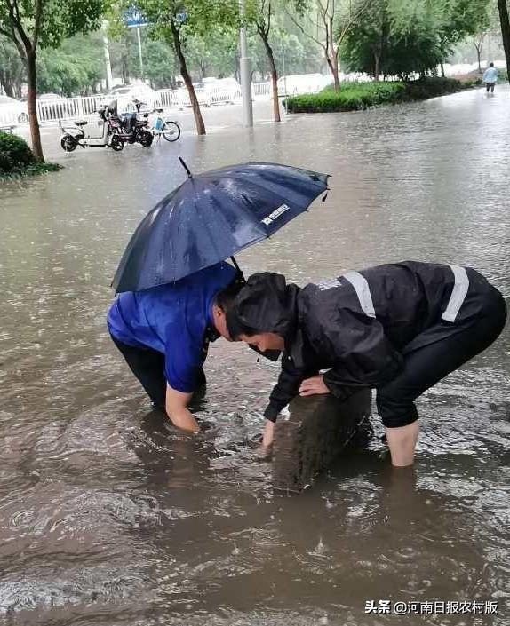 漯河市园林管理局最新新闻，城市绿化新篇章的开启