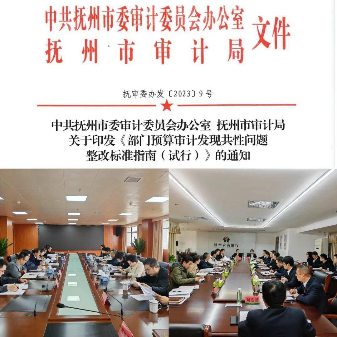 抚州市审计局最新人事任命揭晓，影响与展望