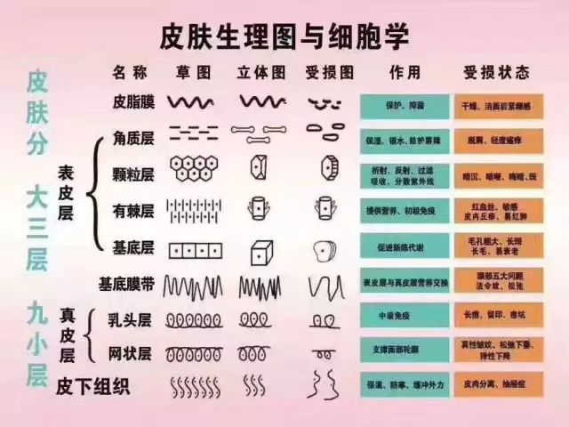 2004新澳门天天开好彩大全一,前沿评估解析_经典版34.760