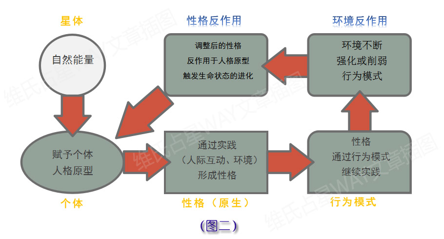 澳门天天期期精准最快直播,完善的执行机制解析_VIP95.456