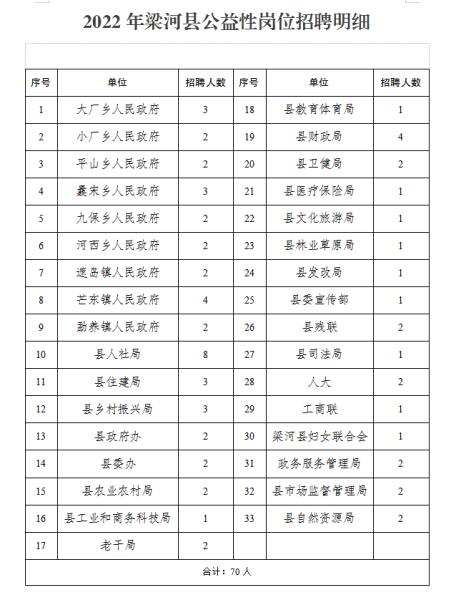 梁河县发展和改革局最新招聘公告概览