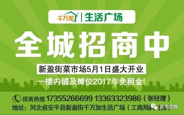 龙安区人力资源和社会保障局招聘最新信息全面解析