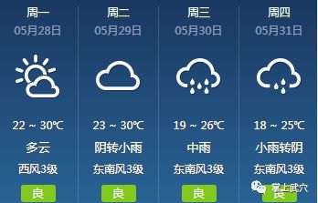 新垌镇最新天气预报