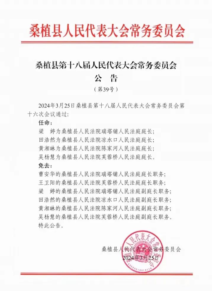 桃源县医疗保障局人事任命动态深度解析