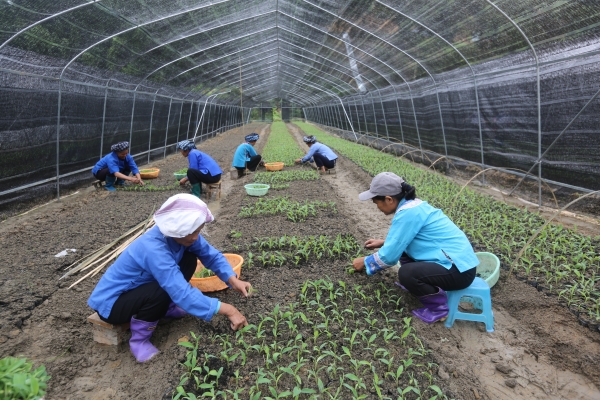 横山苗圃最新交通新闻