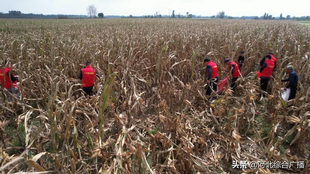 广平县人力资源和社会保障局未来发展规划展望