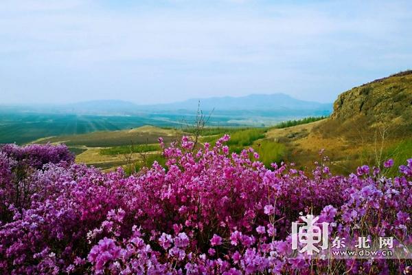 群胜乡新项目，乡村发展的璀璨明珠引领未来