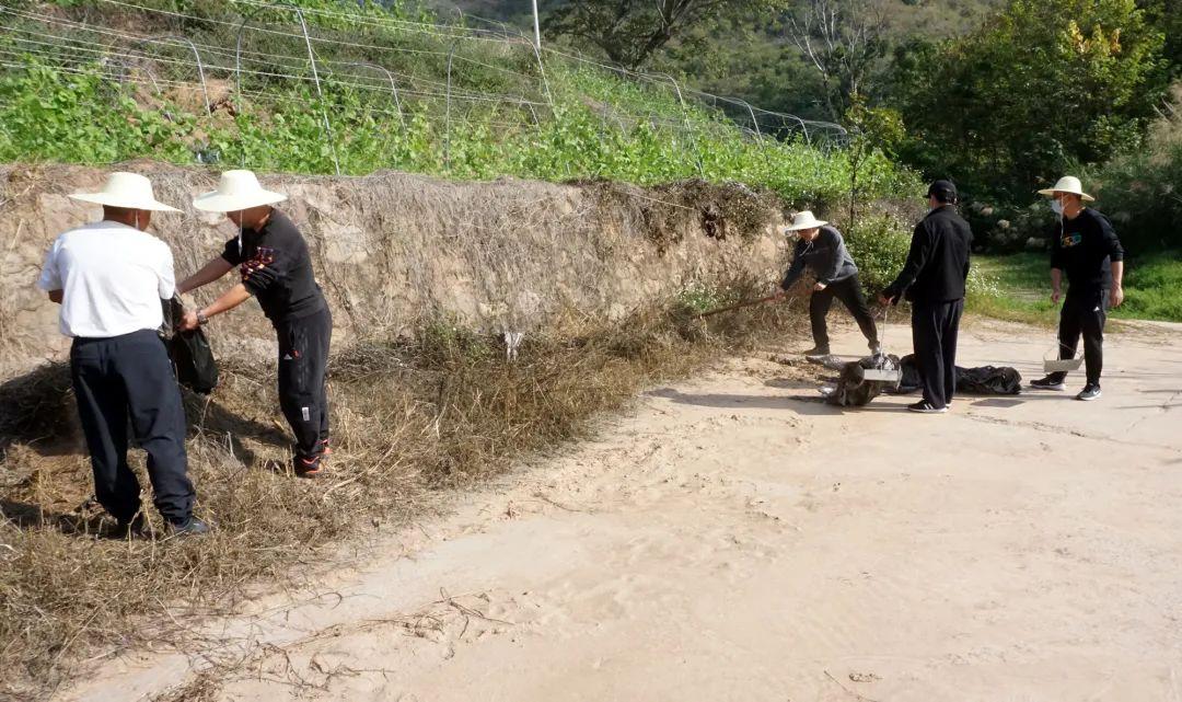 新平彝族傣族自治县农业农村局最新动态报道