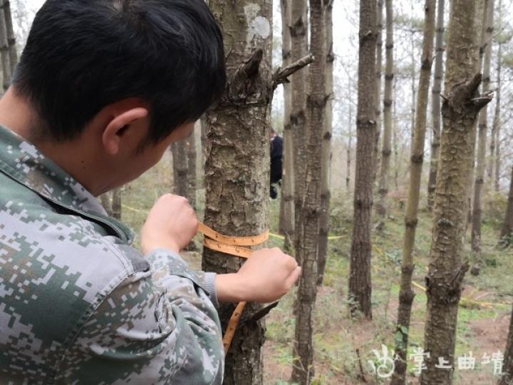 卡勺卡村委会交通新闻里程碑，迈向现代化交通的跨越式发展之路