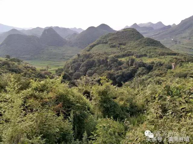 十八里村委会天气预报更新通知