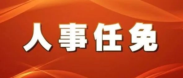 夏通街居委会人事大调整，重塑社区未来领导团队