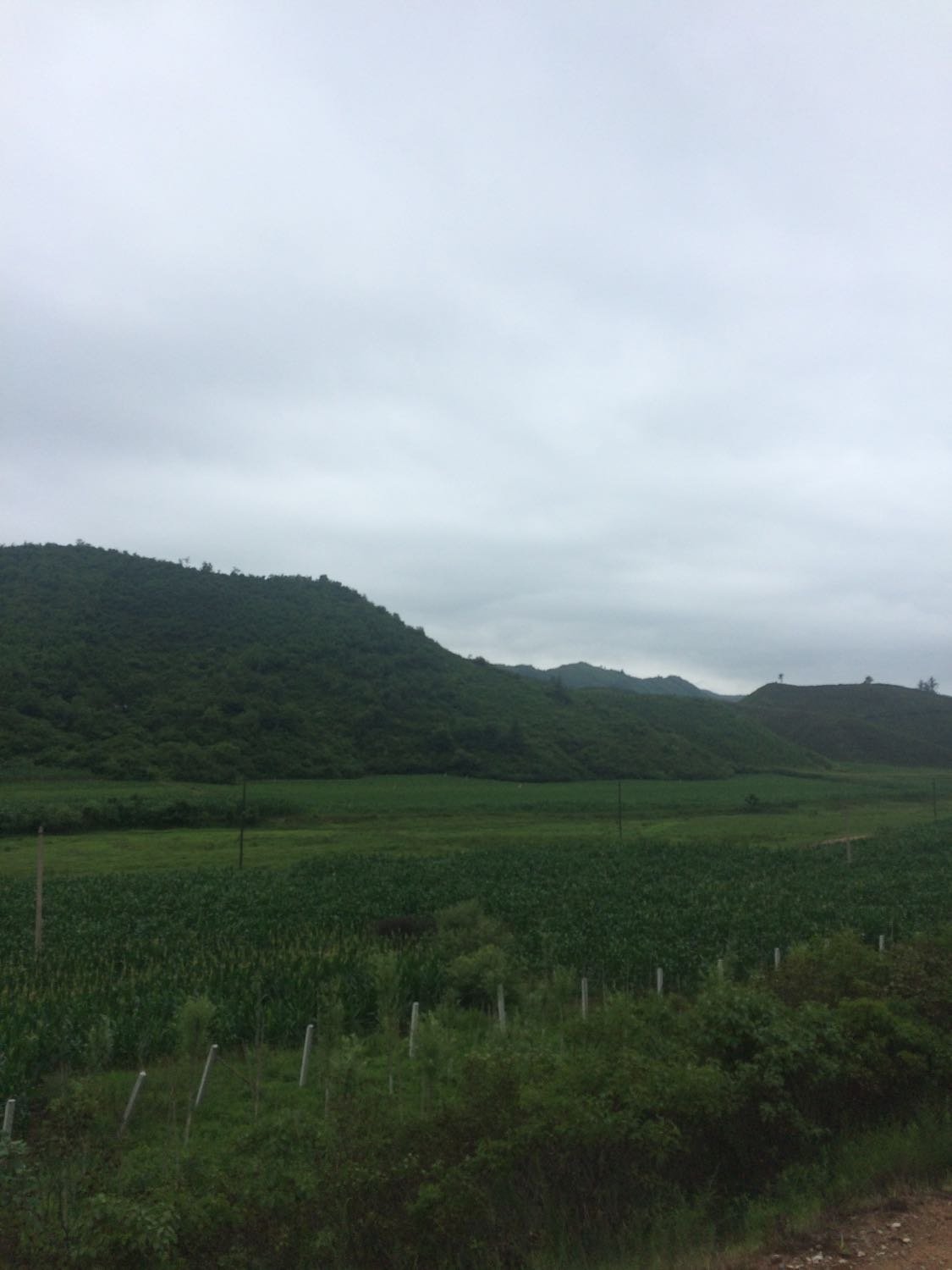 友谊乡天气预报更新通知