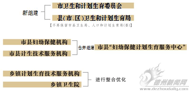 居巢区计划生育委员会最新发展规划